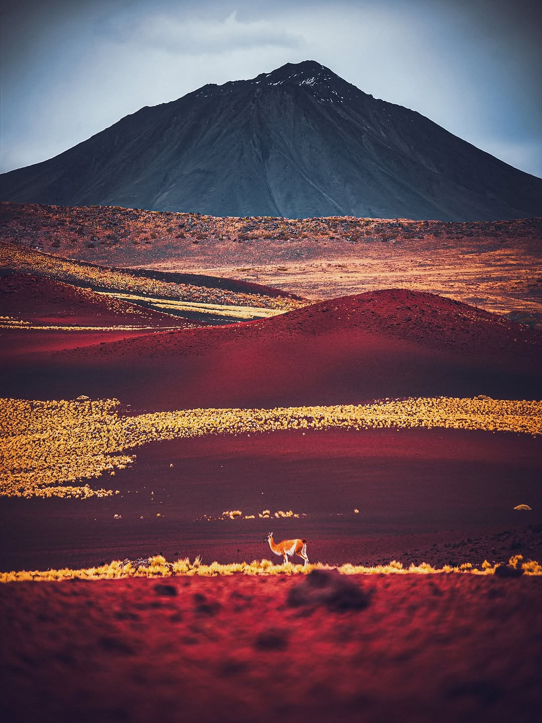 580100813_18427566958109326_7029918871003283032_n