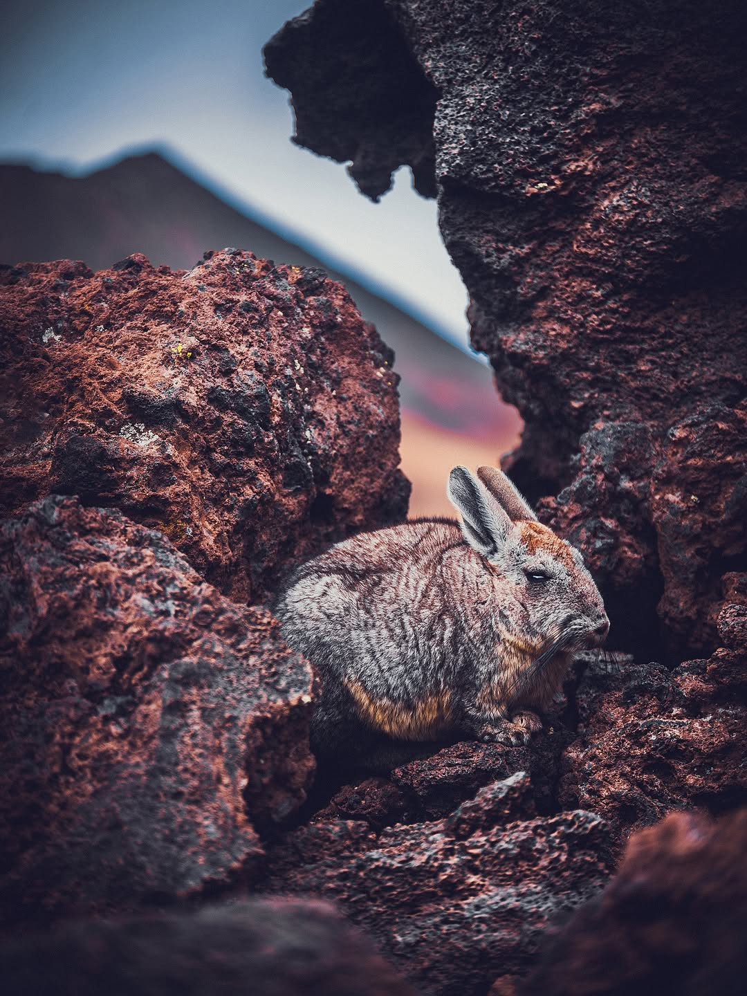 581952646_18427566970109326_9069757461697380821_n