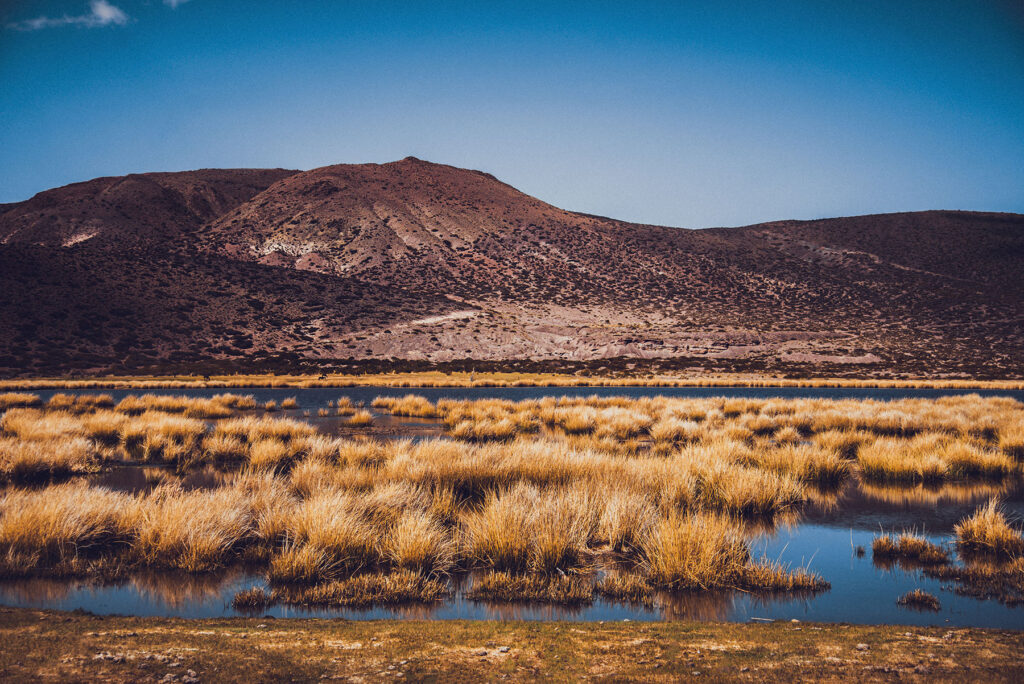 Mendoza Fotos Web (1)