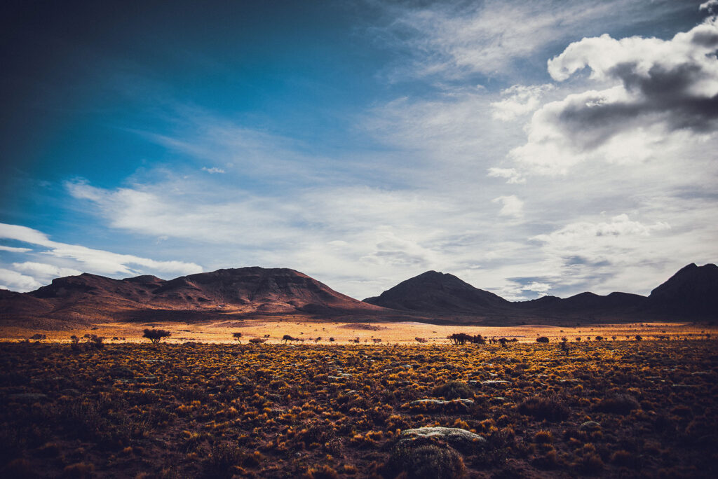 Mendoza Fotos Web (13)