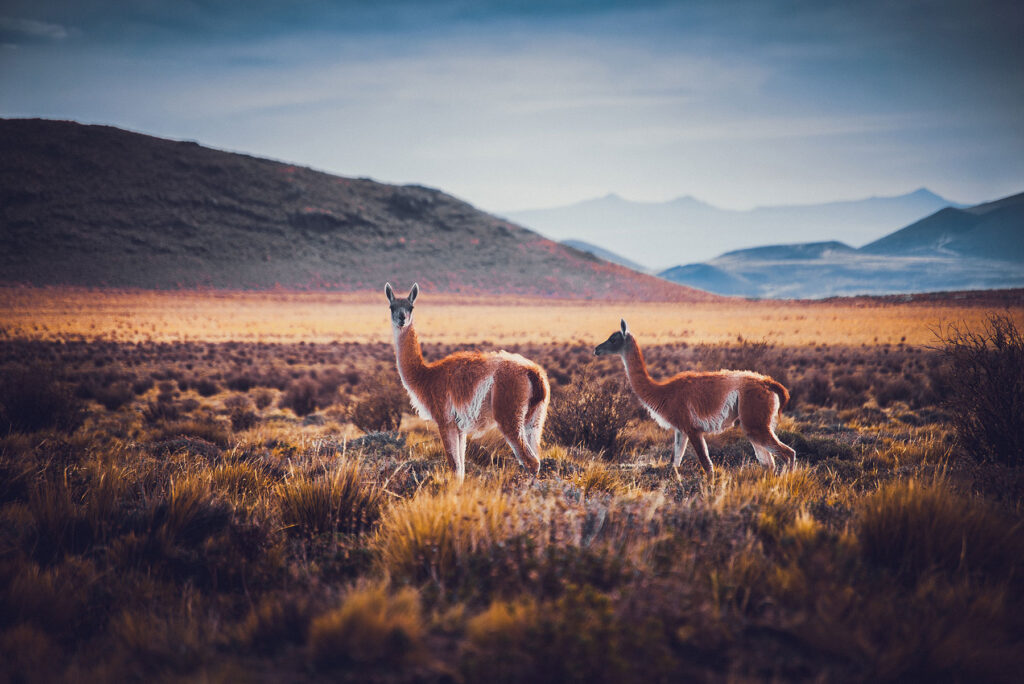 Mendoza Fotos Web (15)