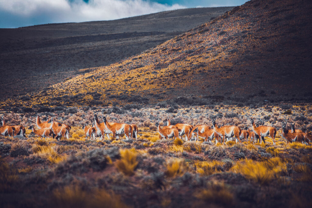 Mendoza Fotos Web (16)