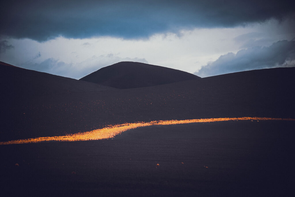 Mendoza Fotos Web (17)