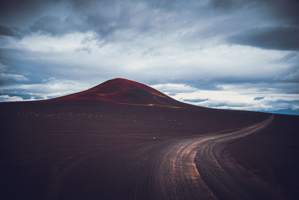 Mendoza Fotos Web (18)