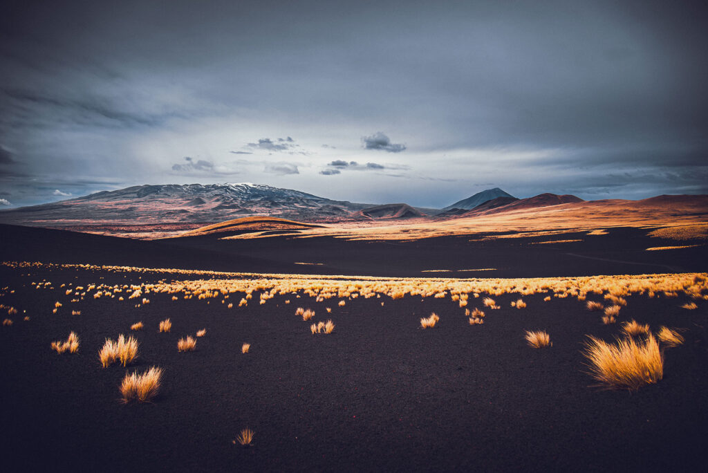 Mendoza Fotos Web (24)