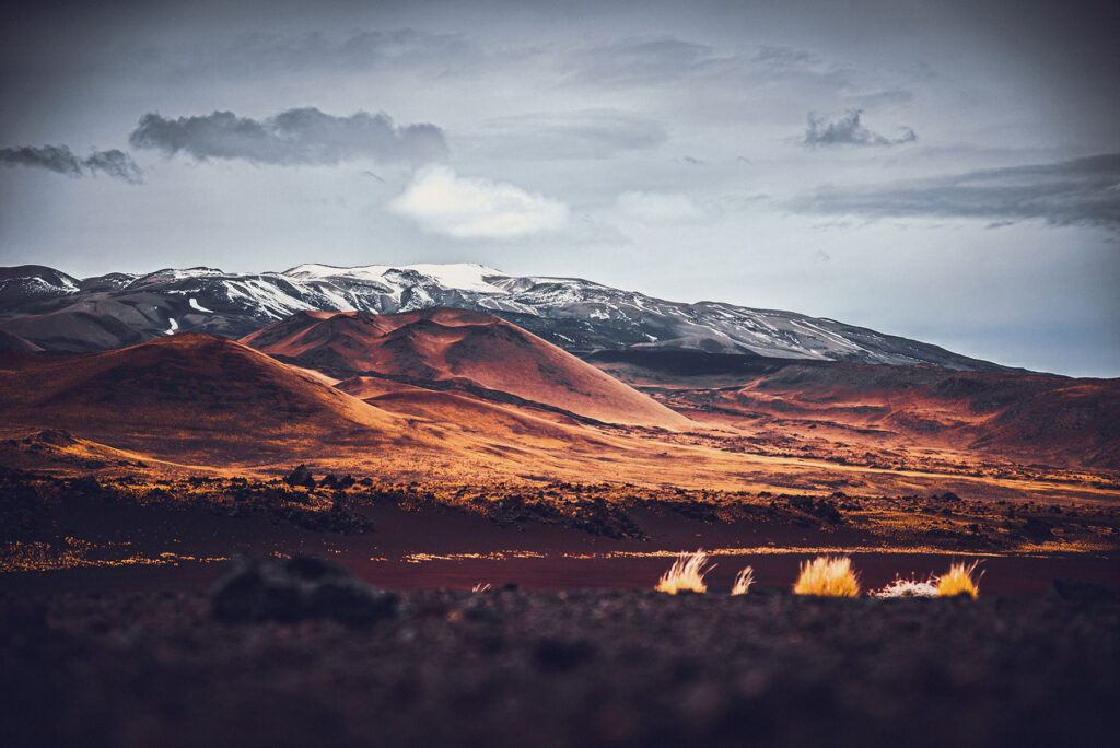 Mendoza Fotos Web (28)