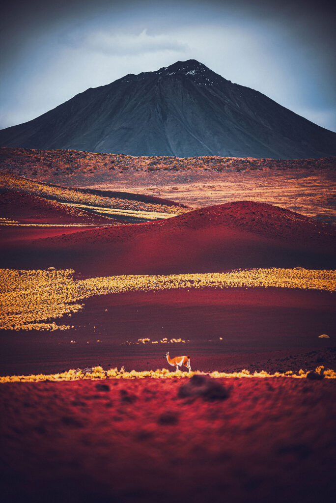 Mendoza Fotos Web (30)