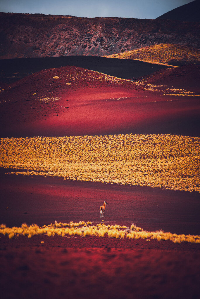 Mendoza Fotos Web (31)